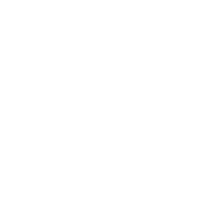 YouTube white logo